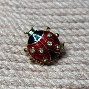 Red and Black Ladybug Brooch